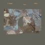 Texte: M. Sage, Tender, Wading. 
Abstrakte Malerei mit braunen und blauen Strukturen auf grauem Hintergrund., LP