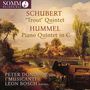Schubert und Hummel-Stücke mit Peter Donohoe und I Musicanti. Landschaft mit Fluss, Brücke und Häusern.