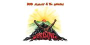 Bob Marley & The Wailers: Uprising (180g) (45 RPM), 2 LPs