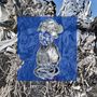 Pod Blotz: Transdimensional System (Limited Edition) (Clear Vinyl), LP