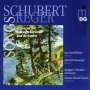 Franz Schubert: Lieder, orchestriert von Max Reger, CD