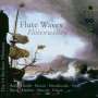 : Die 14 Berliner Flötisten - Flute Waves, SACD