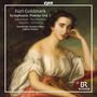 Karl Goldmark (1830-1915): Symphonische Dichtungen Vol.1, CD