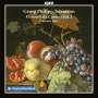 Georg Philipp Telemann: Concerti da Camera Vol.2, CD