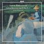 Anton Rubinstein: Streichquartette Vol.2, CD
