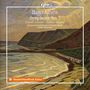 Hugo Alfvén Symphony No. 5. Küstenlandschaft in impressionistischer Art mit Klippen, Meer und Himmel. Deutschlandfunk Kultur Logo., CD