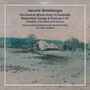 Jaromir Weinberger: Orchesterwerke, CD