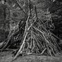 Text: „Joseph Allred“ und „The Old Gods“. Ein großes Tipi aus Ästen im dichten Wald. Schwarz-weiß gehalten., LP