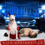 Rick Springfield: Big Hits: Rick Springfield's Greatest Hits Vol. 2, CD