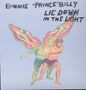 Bonnie 'Prince' Billy: Lie Down In The Light, LP