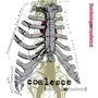 Coalesce: Functioning On Impatience (White W/ Red/Gold/Silver Splatter Vinyl) (45 RPM), LP