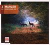Gustav Mahler: Symphonie Nr.3, CD,CD