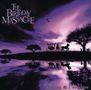 The Birthday Massacre: Nothing & Nowhere, CD