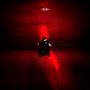 Pig: Red Room, CD, CD