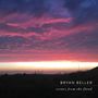 Bryan Beller: SCENES FROM THE FLOOD (Special Blue Swirl Vinyl Ed.), LP,LP