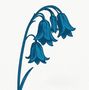 Eine Illustration zeigt vier blaue Glockenblumen an einem gebogenen Stängel auf weißem Hintergrund.