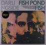 Darlingside: Fish Pond Fish, LP, LP