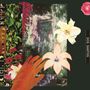 Dos Santos: City Of Mirrors, LP, LP