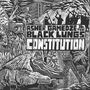 Asher Gamedze: Constitution, 2 LPs