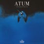 The Smashing Pumpkins: ATUM: A Rock Opera In Three Acts (180g), 4 LPs