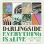 Darlingside: Everything Is Alive, LP
