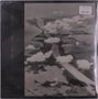 Group Rhoda: Passing Shades, LP, LP