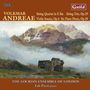 Volkmar Andreae: Streichtrio op.29, CD