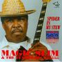 Magic Slim : Spider In My Stew, CD