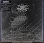 Darkthrone: Shadows Of Iconoclasm (Limited Edition Box Set), 6 LPs, 1 Single 7", 4 MCs, 1 DVD und 1 Buch