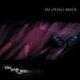 Oben der Text "MY DYING BRIDE", unten "like gods of the sun". Ein Schmetterling mit blauen und schwarzen Flügeln., LP