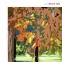 Brian Eno (geb. 1948): Lux (2020 Reissue) (180g), 2 LPs