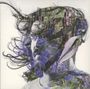 Bibio (Stephen Wilkinson): Ribbons, CD