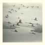 Snow Ghosts: And The World Was Gone (180g), Single 12"