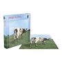 Pink Floyd: Atom Heart Mother (500 Piece Puzzle), Merchandise