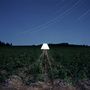 Beacon: Escapements, LP, LP