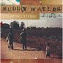: Muddy Waters: Stepping Stone (3CD + DVD), CD,CD,CD,DVD