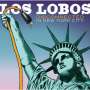 Los Lobos: Disconnected In New York City, CD