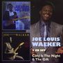 Joe Louis Walker: Cold Is The Night / The Gift, CD,CD