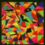 Wadada Leo Smith & Anthony Braxton: Organic Resonance, CD