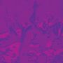 Bardo Pond: ACID GURU POND (Reissue 2025), 2 LPs