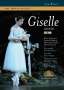 : The Royal Ballet:Giselle (Adam), DVD