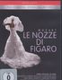 Wolfgang Amadeus Mozart: Die Hochzeit des Figaro, DVD,DVD