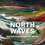 „NORTH WAVES, Gdańsk Contemporary Music“ steht auf abstrakten, farbenfrohen Pinselstrichen in einer Illustration., CD