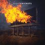 Night Crickets: A Free Society, LP, LP