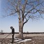 Es gibt keinen Text. Eine Person steht neben einem großen kahlen Baum auf einem Feld mit etwas Schnee. Der Himmel ist blau., LP