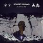 Robert DeLong: In The Cards (180g), 2 LPs
