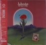 Bedouine: Bird Songs Of A Killjoy (Black Vinyl), LP, LP