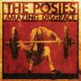 The Posies: Amazing Disgrace, CD