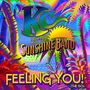 KC & The Sunshine Band: Feeling You! The 60's, CD