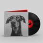 Big Special: Postindustrial Hometown Blues, LP